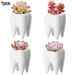 Tooth Shaped Planter 10cm - Cute Cactus Flower Pot Novelty Succulent Container With Drain Hole White_voghion.com
