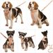 Collare antisporco e antimorso per animali domestici in PVC, set di trazione Waldone dello stesso modello_voghion.com