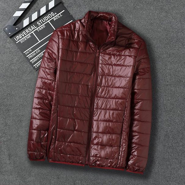 Men's Slim-Fit Hooded Short Puffer Jacket – Premium Cotton Fill, 12 Sophisticated Colors (Zippered Pockets, Modern Minimalist Style)_voghion.com