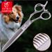 Fenice Dog Grooming Scissors 6.5 Inches By PawParty Store_voghion.com