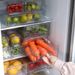 Lade Type Voedsel Vers Fruit en Graan Opslag Anti Geur Transparant Zichtbaar Vriezer Koelkast Opbergdoos_voghion.com