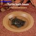 Turtle-specific Water Basin, Tortoise Bath Basin, Semi-water Turtle Drinking Tray, Climbing Pet Turtle Tank, Landscaping_voghion.com