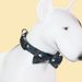 Detachable Leash Pet Bow Tie Dog Collar_voghion.com