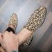Suitable For All Seasons Hair Stylist Loafers Men British Style Personality Trend Leopard Print Slip-On Lazy Nightclub Height Increasing Casual_voghion.com