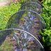Black Insect-proof Net, Bird-proof Net, Orchard Insect-proof Net, Flake Flower Horticultural Plant Net, Fruit Trees And Vegetables Agricultural_voghion.com
