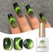 Smalto in gel BORN PRETTY 9D Cat Eye - Sfumatura sfumata per nail art in gel UV per effetto magnetico 3D_voghion.com