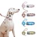 Set Of Leashes And Collars For Dogs By PawParty Store_voghion.com