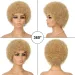 Natural Looking Afro Kinky Curly Pixie Cut Bangs Wig_voghion.com