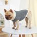 New Casual Ribbed Pullover Pet Spring And Autumn Multi-color Small Dog Knitted Sweater_voghion.com