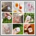 Applicable To Apple Bluetooth Ins Wind Flower AirPods Pro Protective Cover 3rd Generation Transparent Soft Case Earphone Cover 1/2nd Generation_voghion.com