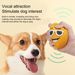 Guangying - Juguete chirriante para perros con sonido incorporado, suave y divertido juguete masticable para perros, pelota interactiva de látex para buscar y jugar al aire libre._voghion.com