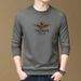 High End Hoodie T-Shirt Thin Long Sleeved Spring And Autumn Plush Loose Casual Men's Top_voghion.com