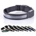 Personalized LED Collar KIPET By PawParty Store_voghion.com