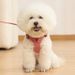 Trendy Cute Vest Style Small Teddy Bichon Puppy Chest Harness Dog Rope Leash_voghion.com