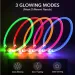 Glowing USB Dog Collar By PawParty Store_voghion.com