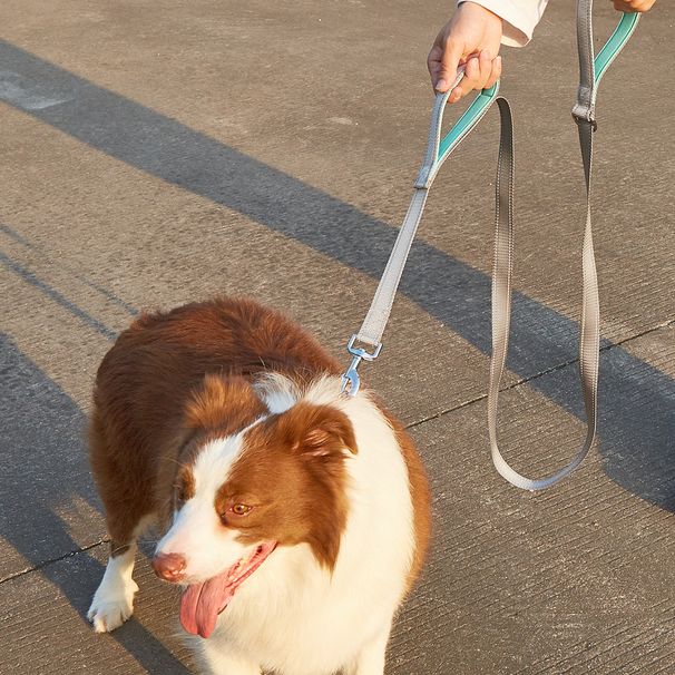 Reflective Double Handle Nylon Tactical Golden Retriever German Shepherd Husky Dog Leash_voghion.com