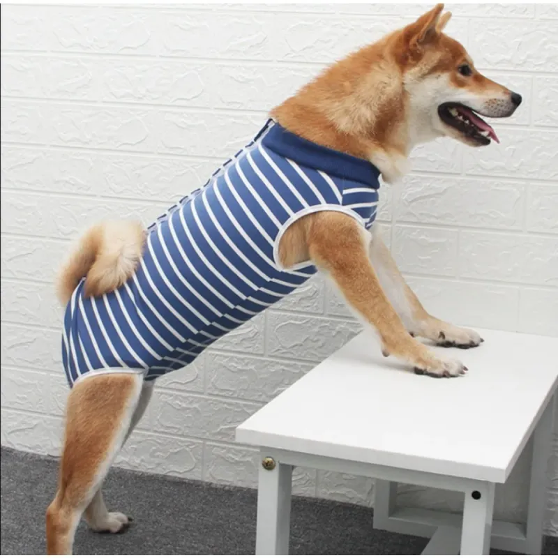 Roupa cirúrgica para filhotes de cachorro com ferida abdominal, colete pós-operatório, roupa substituta para animais de estimação após a cirurgia_voghion.com