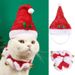 Christmas flannel hat collar bell fur ball red white wave elastic dog cat pet accessories set_voghion.com