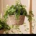 Hængende planter, kurve, hængepotter_voghion.com