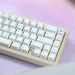 Tong Qu Keycap PBT Original Height Sublimation Mechanical Keyboard Customized Drunk Deer Wooting_voghion.com