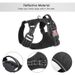 CDDMPET Dog Harness, Nylon, Adjustable, Reflective By PawParty Store_voghion.com