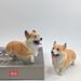 Realistische Corgi-Welpenfigur, niedliche Hunde-Gedenkskulptur, Balkon, Garten, Schreibtischdekoration, Kunstharz, Handwerk_voghion.com