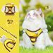 Little Bee Cute Cartoon Pet Vest-Style Harness Outdoor Dog Walking Leash For Small Dogs_voghion.com