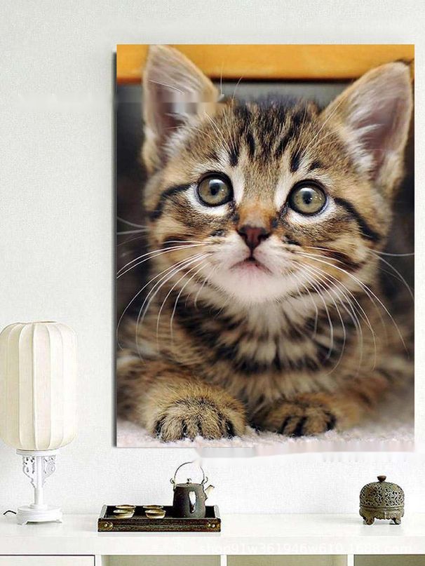 Nouvelle série 5D Animaux Chat Mignon Peinture Décorative Croix Diamant Totale_voghion.com