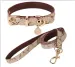 PU Letter Back Leashes Leather Teddy Collar Out Walking Dog Leash Cat Designer Flower Pet Supplies_voghion.com