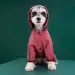 Waterproof Pet Clothing, Puppy Raincoat Small And Medium Dogs, Cats, Hoodies, Reflective Shih Tzu Jumpsuits, Raincoats By PawParty Store_voghion.com