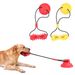 New Pet Dog Toy Durable Chew Bone Stick With Suction Cup For Medium And Large Dogs_voghion.com