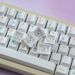 Tong Qu Keycap PBT Original Height Sublimation Mechanical Keyboard Customized Drunk Deer Wooting_voghion.com