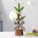 Christmas 25CM Decorations Small Tree Ornaments Window Display Desktop Decorations Mini Tree Potted_voghion.com
