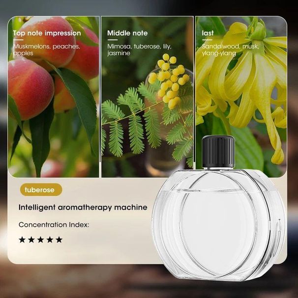 Auto Smart Aromatherapie Hine Öle Lufterfrischer Reiniger A_voghion.com