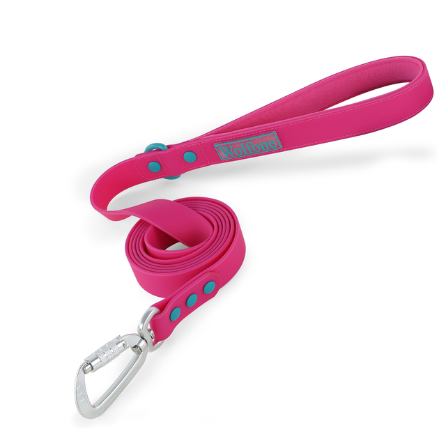 Automatic Leash For Small Dogs HENSHINE DOG GEAR By PawParty Store_voghion.com