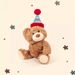 Mijn Lula Verjaardagshoed Cadeau Beer Verjaardagshoed Beer Pluche Speelgoed Teddybeer Verjaardagscadeau Carmful Beer Pop_voghion.com