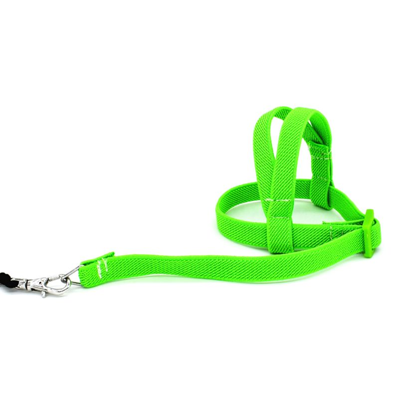 Cuerda de entrenamiento de vuelo antimordeduras de 2 m, correa para loros y pájaros, arneses ultraligeros_voghion.com