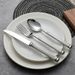 Set di posate in acciaio inossidabile 304 - Collezione di coltelli, forchette e cucchiai di lusso per ristoranti di lusso e hotel a 5 stelle - Stoviglie da postare su Instagram_voghion.com