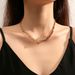 Moissanite Jewelry High-End Versatile Simple Light Luxury Full Diamond Collarbone Chain Zircon Necklace_voghion.com