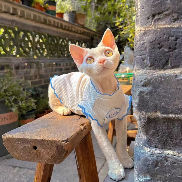 Summer Sleeveless Air Conditioning Clothes Anti-Shedding German Sphynx Cat Vest Same Style For Cats_voghion.com