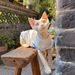 Summer Sleeveless Air Conditioning Clothes Anti-Shedding German Sphynx Cat Vest Same Style For Cats_voghion.com