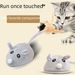 Electric mouse pet toy cat toy electric interactive self-Hi cat toy smart walking cat toy_voghion.com