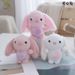 Cute Rabbit Mini Plush Doll Keychain Adorable Soft Toy For Gift Collection Kids_voghion.com