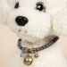 Haustierbedarf Teddy Dog Special für kleine und mittelgroße Hunde Hals Kupfer Glocke Katzenhalsband_voghion.com