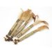 Huanren Gall Fruit Rod With Wood Tianpo Stick Chew Combination Cat Toy For Cleaning Teeth, Removing Tartar, And_voghion.com