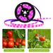 Fita de LED de espectro completo para cultivo, alimentada por USB, 2835, com controle por toque/deslize, IP65, à prova d'água, para plantas de interior_voghion.com