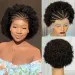Parrucca intrecciata frontale in pizzo 13x4 con densità 250%, parrucca afro esplosiva con capelli umani, parrucca corta e riccia per donne, parrucca alla moda con capelli in pizzo per bambini_voghion.com