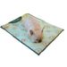 Summer Ice Silk Cool Breathable Pet Dog Supplies Cooling Mat Cat Bed_voghion.com