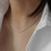 Titanium Steel Non-Fading Snake Bone Niche Necklace For Women Light Luxury Choker High-End Clavicle Chain Ins Cold Style_voghion.com