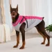 Winter Waterproof Jacket CDDMPET For Dogs By PawParty Store_voghion.com